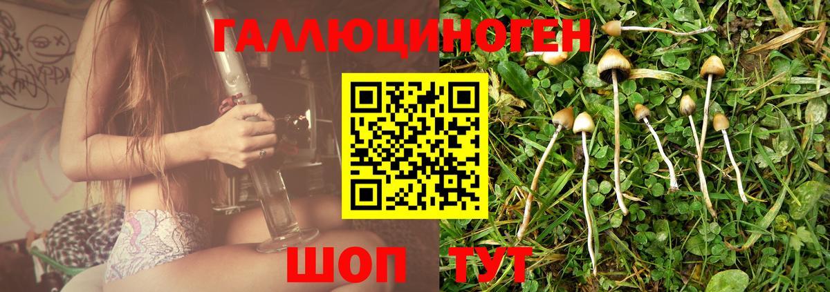 Галлюциногенные грибы Cubensis  Псилоцибиновые грибы ЛСД  Вход с VPN  Елец 